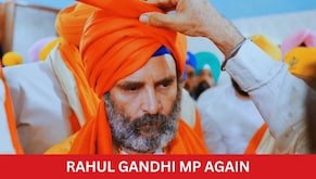 Rahul Gandhi stay on conviction 